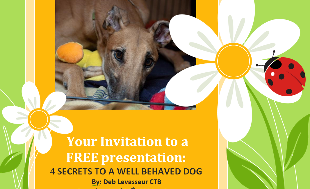 Invitation poster for 4 secrets to a well behaved dog presentation