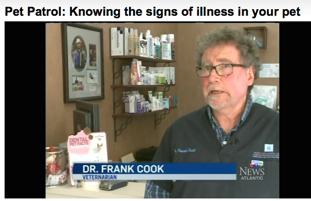 Screenshot of Dr. Frank Cook on CTV News