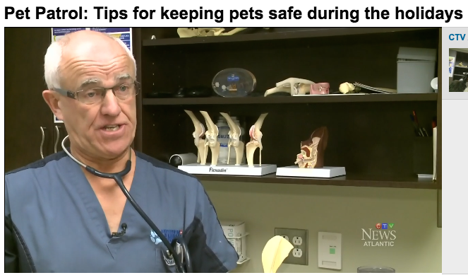Screenshot of Riverview Animal Hospital veterinarian on CTV News