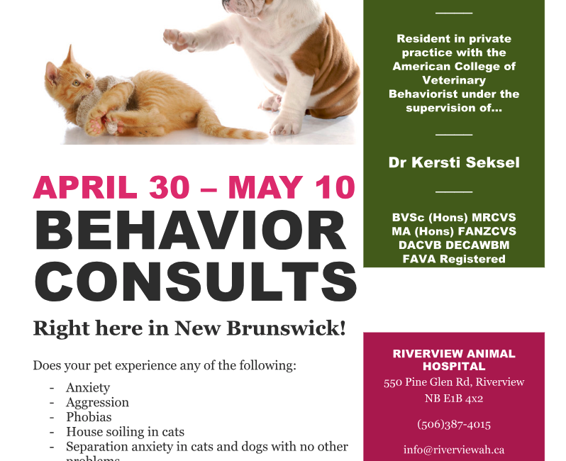 Behaviour Consults - Riverview Animal Hospital