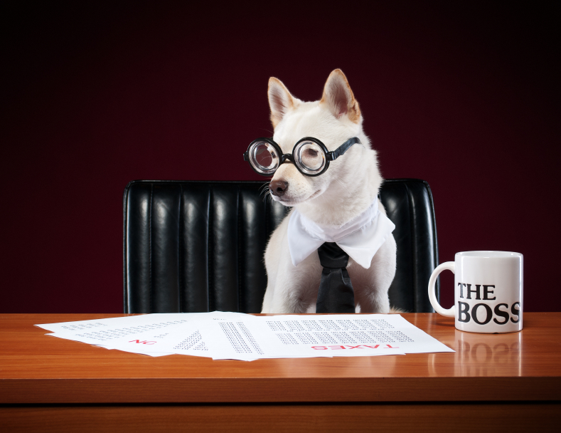 Dog wearing glasses and a tie and sitting at an office desk