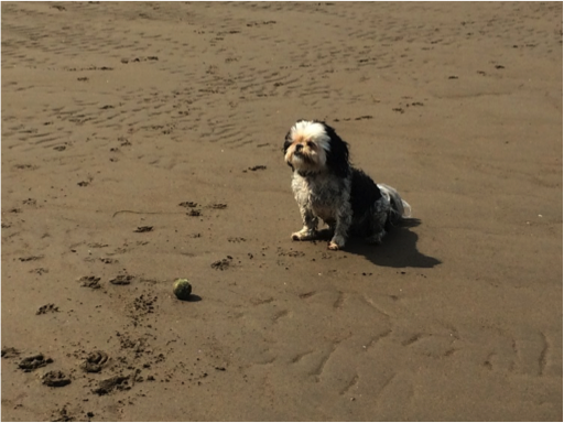 mia on the beach